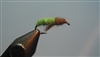 Caddis Larvae, Green