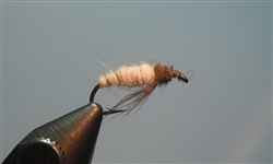 Caddis Larvae, White