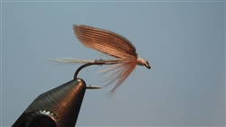 Blue Quill Wet Fly