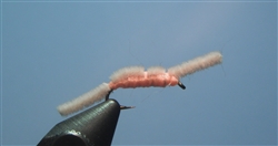 San Juan Worm, Pink
