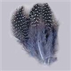 Guinea Hen Feathers
