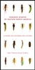 Common Nymphs of Eastern North America (spiral pb) by Tzilkowski and Stauffer