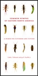 Common Nymphs of Eastern North America (spiral pb) by Tzilkowski and Stauffer