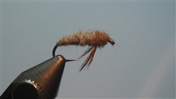 Caddis Larvae, Gray