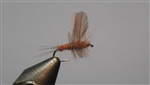 Red Quill Cut Wing