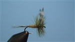 Adams Dry Fly, Olive
