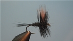 Black Gnat Dry Fly