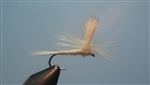 Light Cahill Parachute