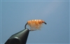 Scud (shrimp), Orange