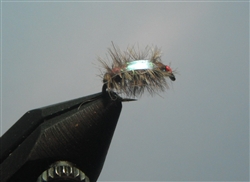 Ray Charles fly pattern