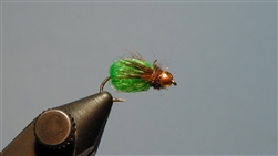 LaFontaine Deep Sparkle Pupa, Brown/Green