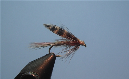 Traditional catskill adams wet fly