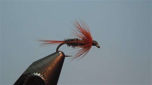 Brown Hackle Wet Fly