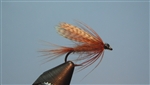 Dark Cahill Wet Fly