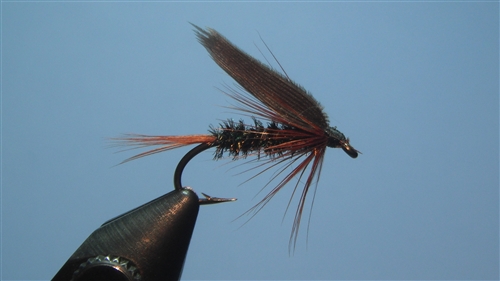 Size 16 Lead Wing  Wet  Fly Fishing Flies 2 Flies 