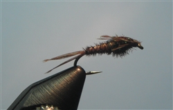 Pheasant Tail